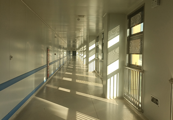 女性被操视频网站免费观看